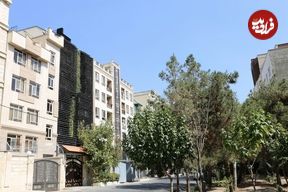 تصاویر؛ این خانه زیبا در پونک تهران؛ زیبایی چگونه در یک محیط معمولی شاخص می سازد