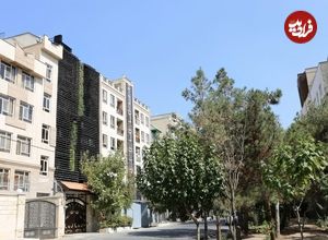 تصاویر؛ این خانه زیبا در پونک تهران؛ زیبایی چگونه در یک محیط معمولی شاخص می سازد