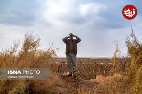 لمس نوزادان حیات‌ وحش ممنوع است و پیگرد قانونی دارد