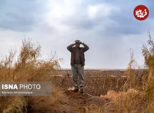 لمس نوزادان حیات‌ وحش ممنوع است و پیگرد قانونی دارد