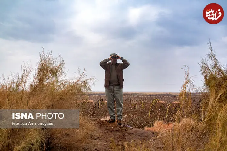 لمس نوزادان حیات‌ وحش ممنوع است و پیگرد قانونی دارد