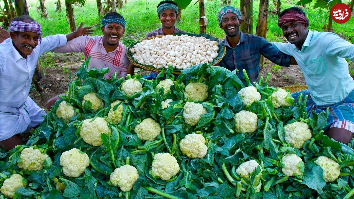 ببینید؛ غذای روستایی در هند؛ پخت غذای غول پیکر با قارچ و گل کلم