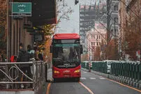 (عکس) حیوان خانگی عجیب در بی آر تی!