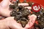 ببینید| غذای خیابانی در کره؛ قورباغه کبابی، سرخ شده و سوپ قورباغه در گانگ نونگ