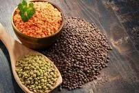 خواص عدس برای مو؛ جلوگیری از ریزش مو با عدس