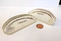 راز طول عمر ۵۰۷ ساله قدیمی‌ترین جانور منفرد دنیا