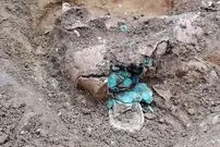 «کوزه‌ای با 7 هزار سکّه باستانی» از دل یک زمین کشاورزی بیرون آمد