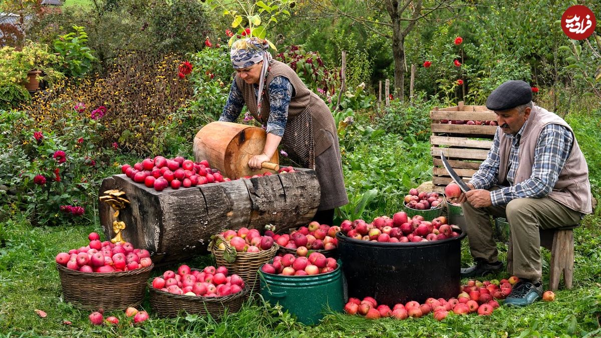 ببینید| غذای روستایی در آذربایجان؛ برداشت سیب و تهیه شربت و کیک با آن در طبیعت