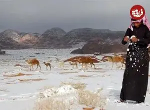 ببینید| رقص و اسکی با دشداشه عربستانی‌ها در برف