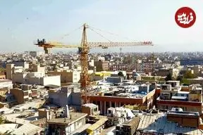 در حیاط شاهیِ تهران چه خبر است؟