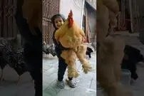 (ویدئو) تا به حال بزرگترین خروس جهان را دیده بودید؟