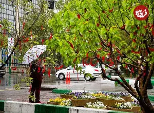 کدام مناطق باید منتظر برف بهاری باشند؟ | هشدار نارنجی برای ۱۴ استان