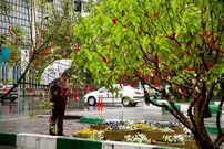 کدام مناطق باید منتظر برف بهاری باشند؟ | هشدار نارنجی برای ۱۴ استان
