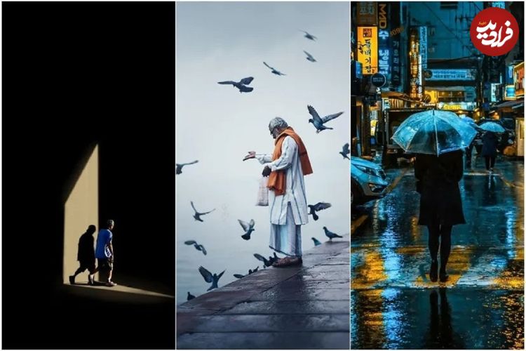 تصاویر؛ وقتی زندگی روزمره، زیبا و تماشایی می‌شود