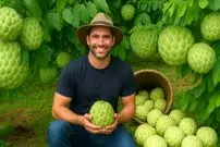 ببینید| چگونه ویتنامی ها صدها تن سیب کاستارد را در کوهستان برداشت می کنند؟