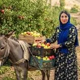 ببینید| غذای روستایی در ایران؛ پخت کیک با سیب های تازه باغ