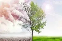 این شهر پاک‌ترین شهر کشور است
