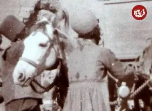 عکس| سفر به ایران قدیم؛ مردان ایرانی در کنار «ارابۀ دو اسبه» در زمان مظفرالدین شاه