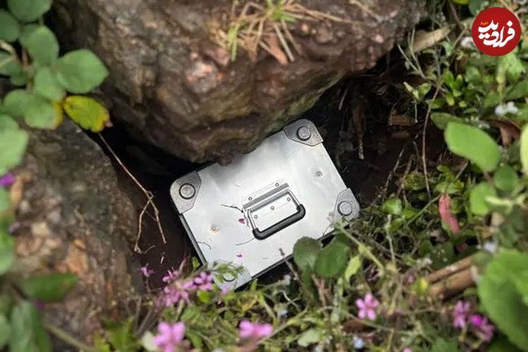 جویندۀ خوش‌شانس با استفاده از «نقشۀ گنج اینترنتی» موفق به کشف گنجینه 10 هزار دلاری شد