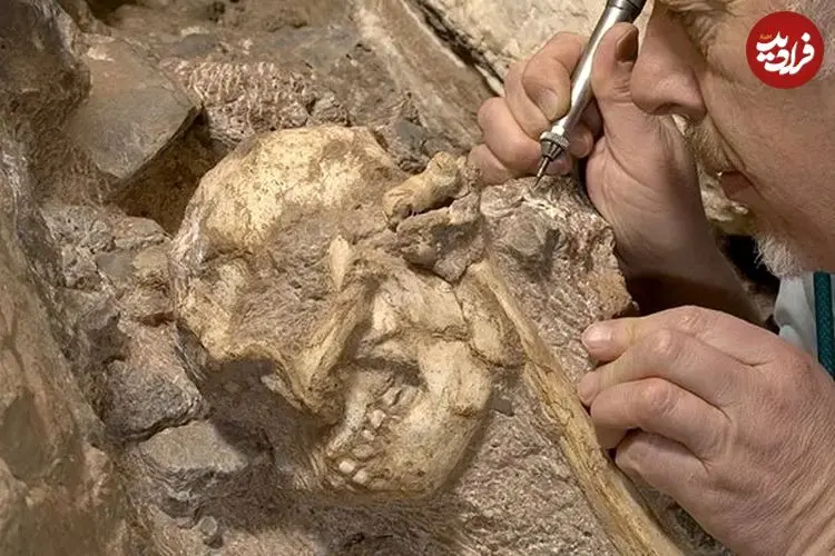 خویشاوند 3 میلیون سالۀ انسان که از دل «سنگ» بیرون آمد و هنوز ناشناخته است