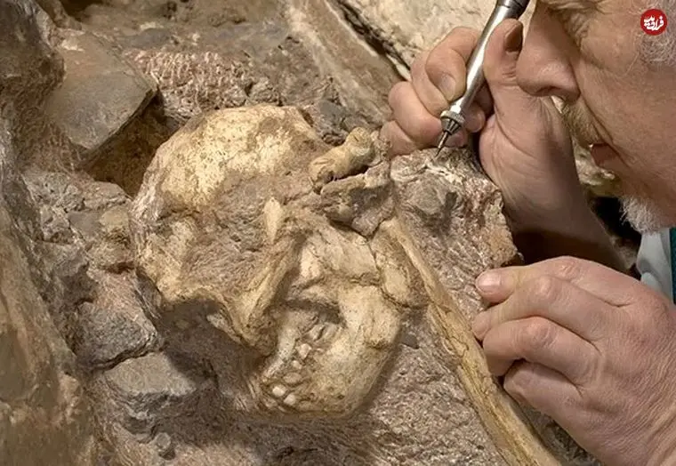 خویشاوند 3 میلیون سالۀ انسان که از دل «سنگ» بیرون آمد و هنوز ناشناخته است