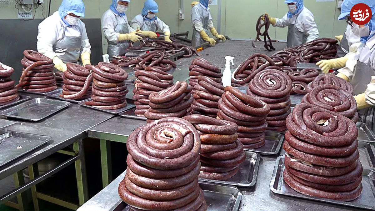 (ویدئو) فرآیند تهیه و تولید ده ها تن سوسیس خون در کارخانه مشهور کره ای