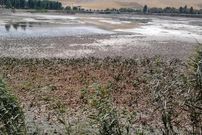 «سراب نیلوفر» به خاطره‌ها پیوست؛ سراب‌های دیگر هم حال خوشی ندارند