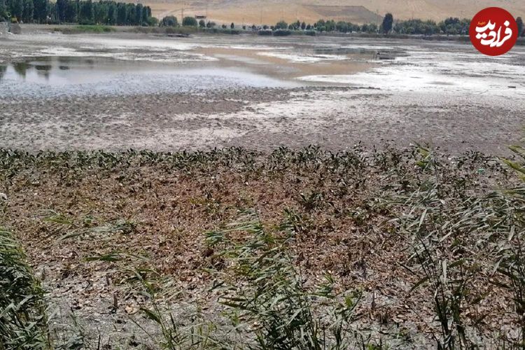 «سراب نیلوفر» به خاطره‌ها پیوست؛ سراب‌های دیگر هم حال خوشی ندارند