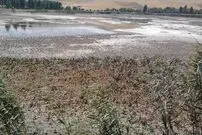 «سراب نیلوفر» به خاطره‌ها پیوست؛ سراب‌های دیگر هم حال خوشی ندارند