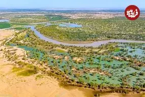 چینی‌ها 66 میلیارد درخت در کنار بیابان کاشته‌اند؛ نتیجۀ این کار چه بوده است؟