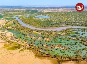 چینی‌ها 66 میلیارد درخت در کنار بیابان کاشته‌اند؛ نتیجۀ این کار چه بوده است؟