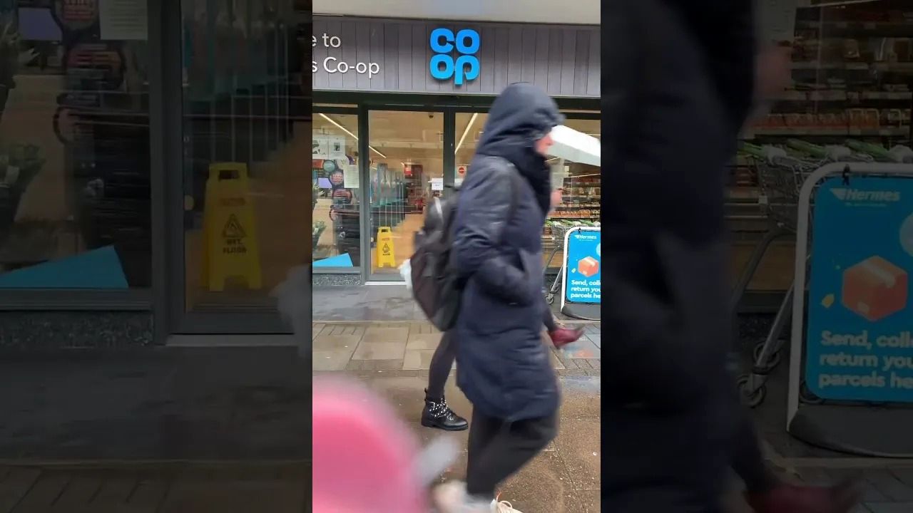 (ویدئو) دزدی باورنکردنی یک مرغ دریایی از یک فروشگاه در روز روشن!