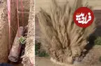 ببینید| خنثی‌سازی بمب به جامانده از جنگ جهانی دوم