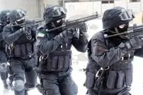 ببینید؛ خاص‌ترین عملیات پلیس؛ مادری که فرزند سربازش را در کوه سورپرایز کرد
