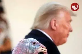 عکس؛ آخرین مراسم عفو بوقلمون توسط ترامپ در کاخ سفید