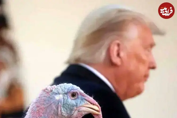 عکس؛ آخرین مراسم عفو بوقلمون توسط ترامپ در کاخ سفید