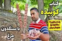 (ویدئو) با 500 گرم سنگدان مرغ این کباب کوبیده خوشمزه رو تو خونه درست کن!