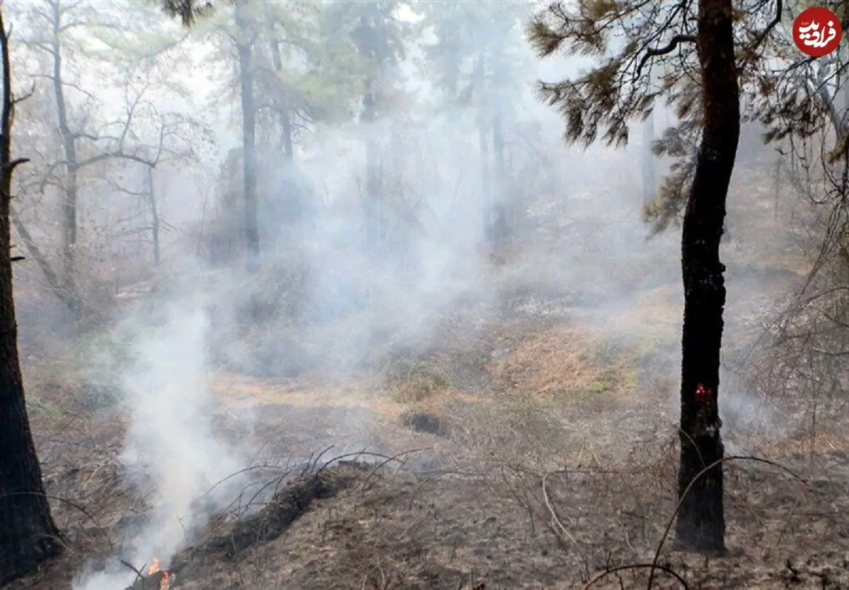 تداوم آتش‌سوزی‌های جنگلی؛ مدعی العموم کجاست؟