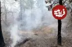 تداوم آتش‌سوزی‌های جنگلی؛ مدعی العموم کجاست؟