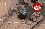 مشاهدۀ یک «سنگ عجیب» با منشأ نامعلوم روی سطح مریخ