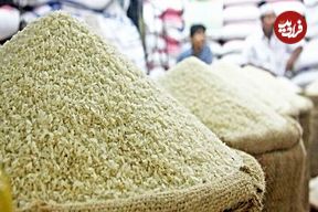قیمت برنج در آسیا به پایین‌ترین سطح یک دهه گذشته رسید