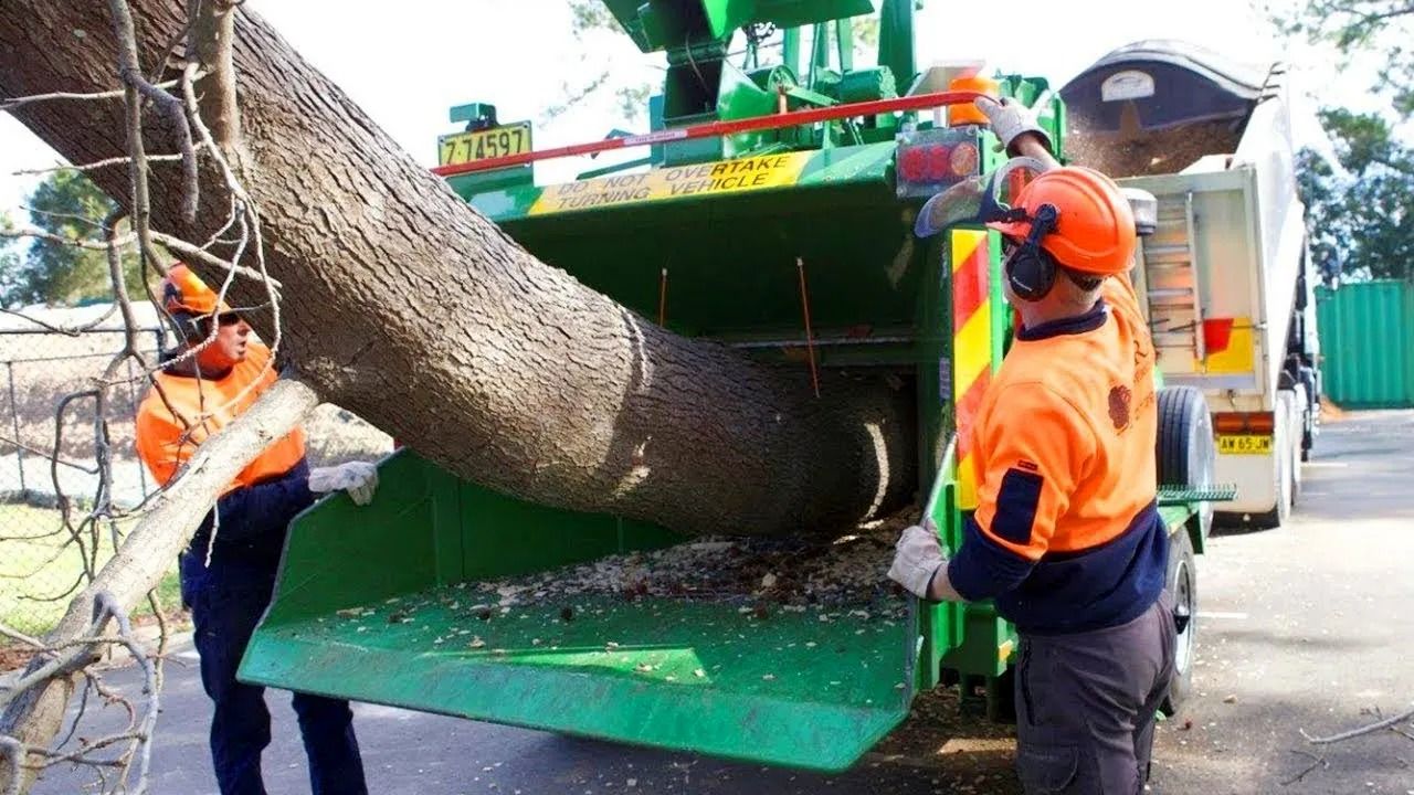(ویدئو) این ماشین های شگفت انگیز یک درخت بزرگ را در یک چشم بر هم زدن پودر می کنند!