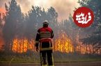 ببینید؛ آتش سوزی‌های جنگلی و موج گرما در اروپا؛ تخلیه ۱۵۰۰ گردشگر