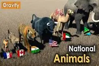 (ویدئو) حیوان نماد کشورهای مختلف جهان را بشناسید