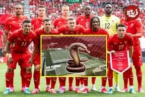 مارهای سمی؛ چالش تازه میزبان آمریکایی جام جهانی