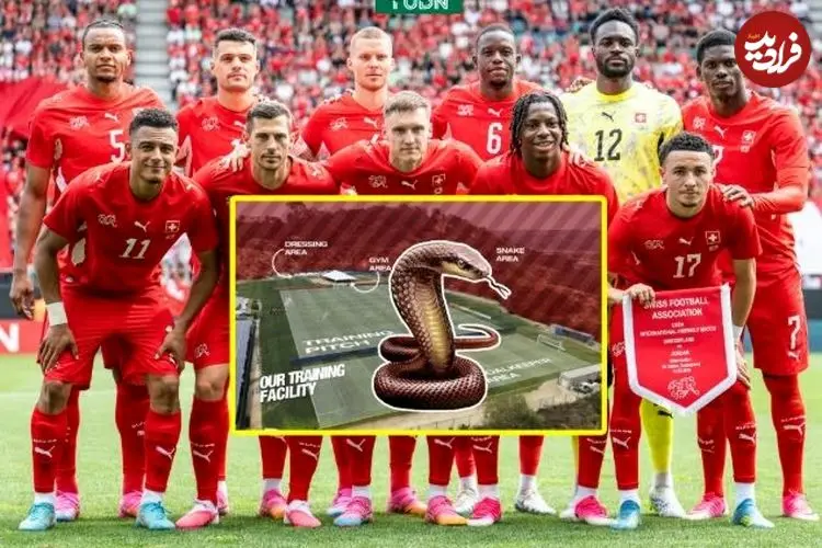مارهای سمی؛ چالش تازه میزبان آمریکایی جام جهانی