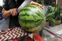 ببینید| مهارت میوه فروش تایلندی در برش زدن هندوانه، آناناس و دراگون فروت