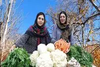 (ویدئو) تهیه ترشی محلی به سبک دو بانوی خوش سلیقه روستایی آذری