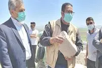 بر سر سنگ یادمان آشوریان در «قباق تپه»کرمانشاه چه آمده است؟