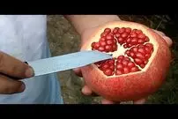 (ویدئو) یک روش ساده و سریع برای برش زدن انار در شب یلدا